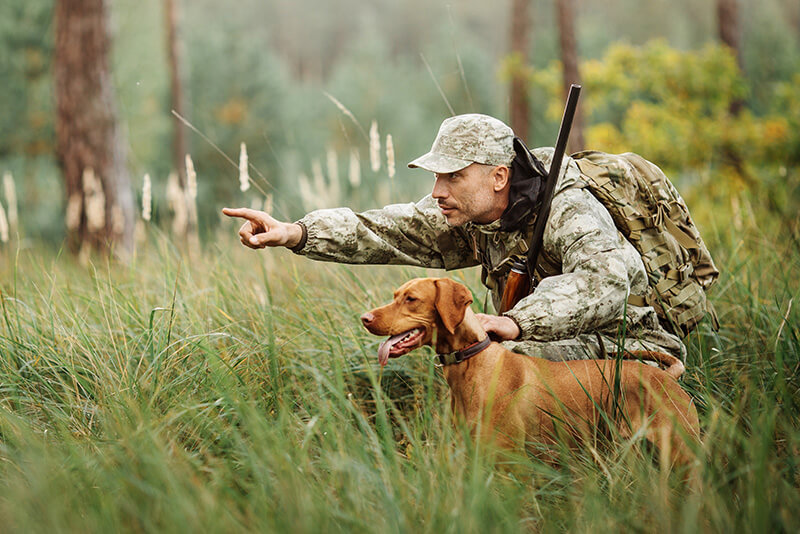Psy myśliwskie – rasy psów odpowiednie na polowanie
