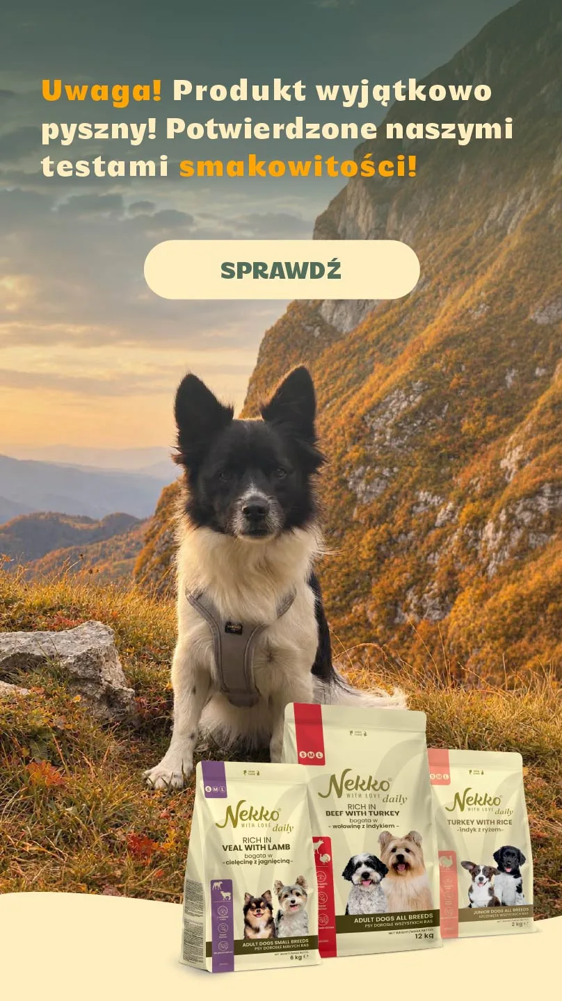 Nekko Daily karma sucha dla psa, wyjątkowo smaczna, potwierdzone testami smakowitości
