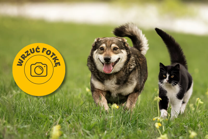 Rusza wiosenny konkurs fotograficzny! Pokaż nam Wasze spacerki i zgarnij 100 zł na zakupy