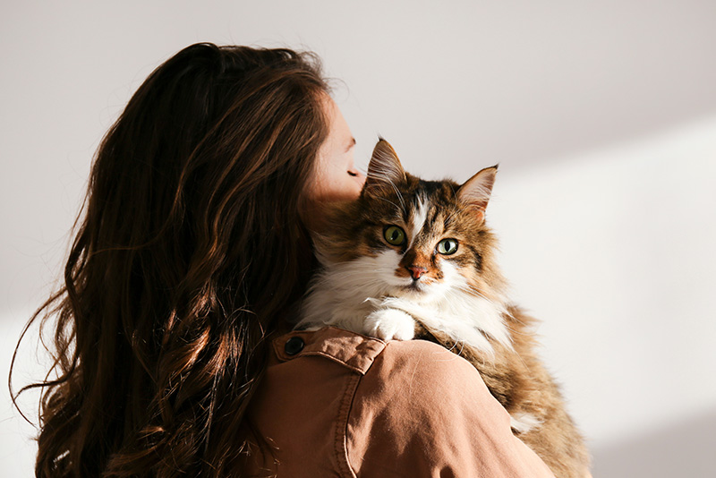 Czym jest felinoterapia? Na czym polega terapia z udziałem kotów