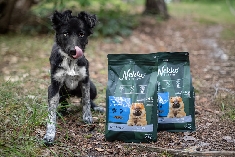 Border collie i sucha karma Nekko dla szczeniąt średnich i dużych ras — indyk z łososiem